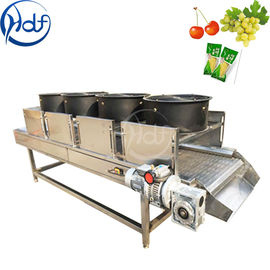 Machine végétale continue de dessiccateur de fruit, largeur 600mm de bande de conveyeur de machine de déshydrateur de nourriture