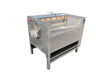 machine à laver de brosse de nettoyage de bande de conveyeur d'usine de la nourriture 1000kg/h
