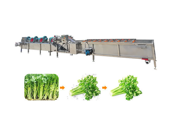 Machine de développement de fruits et légumes de Ss304 1500kg/H