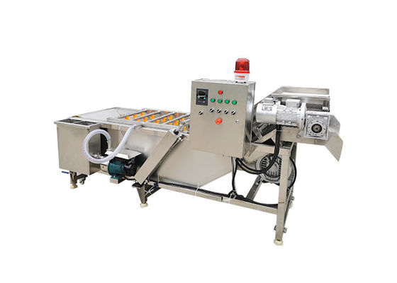 Machine à laver de fruit de l'ozone du bulle d'air SS304 3.75KW