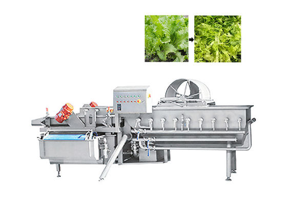 découpeuse de laitue de coupeur de feuille du vert 1000kg/H pour le légume de salade de fruits