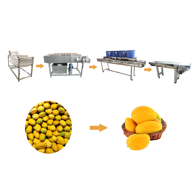 Ligne capitale de nettoyage de fruits et légumes de machine à laver végétale de mangue grande