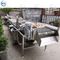 Machine à laver végétale de légumes de machine à laver de bulle d'air du joint SUS304 végétal électrique