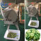 Coupeur de légume vert d'entreprises de restauration, découpeuse de pomme de terre
