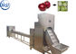 Rendement élevé de machine d'épluchage de peau d'oignon d'installation de fabrication de l'oignon SUS304