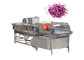 Type machine à laver végétale de vortex de bulle d'air d'AC380V de fruit