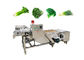 Machine à laver végétale automatique industrielle de bulle du restaurant 500kg/h