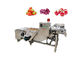 Machine à laver végétale de bulle d'air du fruit SUS304 500kg/h
