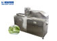Aloès Vera Peeling Machine de l'extraction 1000kg/h de gel d'acier inoxydable