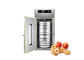 une machine plus sèche de fruits et légumes de machine de 1500r/Min Hot Air Food Drying