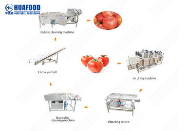 Fruits et légumes traitant l'installation de fabrication de tomate d'unité de transformation de légumes de machines
