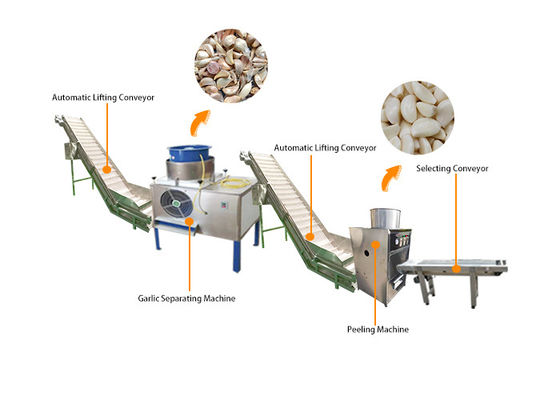 Ail automatique industriel se cassant épluchant la chaîne de production de machine de développement de Peeler