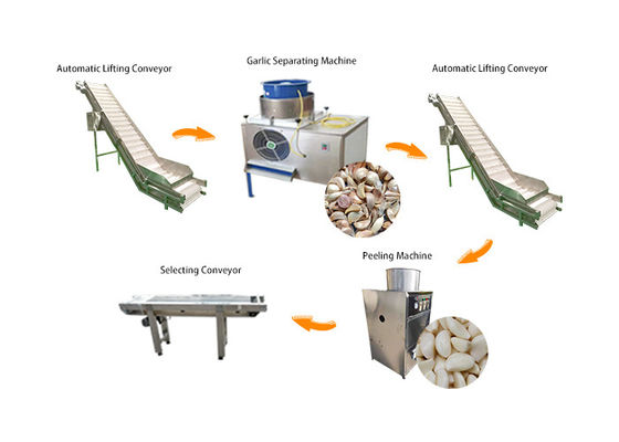 ligne automatique capacité de production à la machine d'épluchage de l'ail 7kw de 2000kg/h