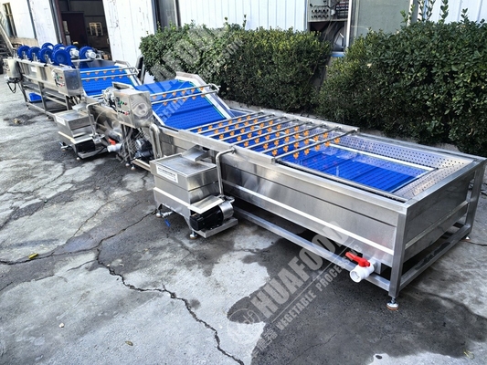 Machine à laver les fruits et légumes à plumes et à tension 220 V