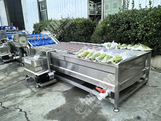 Machine à laver les fruits et légumes à plumes et à tension 220 V