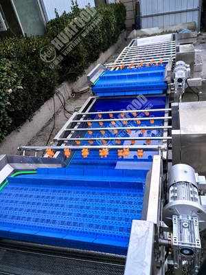 Machine à laver les fruits et légumes à plumes et à tension 220 V