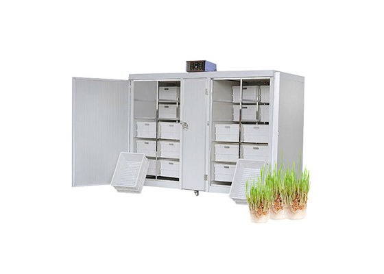 machine commerciale Bean Seed Sprout Machine automatique de germination de la graine 250kg/d