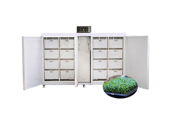 machine commerciale Bean Seed Sprout Machine automatique de germination de la graine 250kg/d