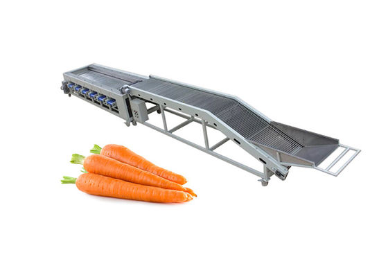 trieuse de la carotte 3t/H d'évaluation de machine de carotte électrique de tomate
