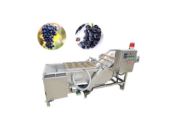 acier inoxydable du SUS 304 de machine de lavage et de séchage du raisin 500kg/h