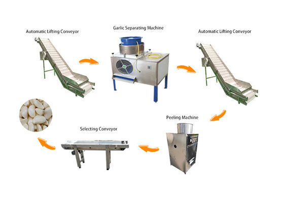 Chaîne de production automatique élevée d'épluchage d'ail du rendement 200-300kg/H