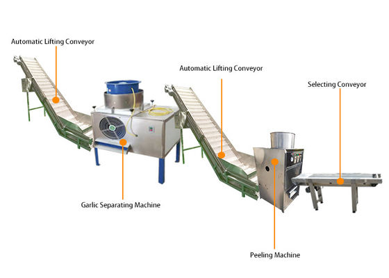 ligne automatique capacité de production à la machine d'épluchage de l'ail 7kw de 2000kg/h