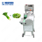 Machine végétale multifonctionnelle industrielle de coupeur de fruits et légumes de découpeuse